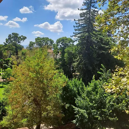 Robinia Genzano di Roma